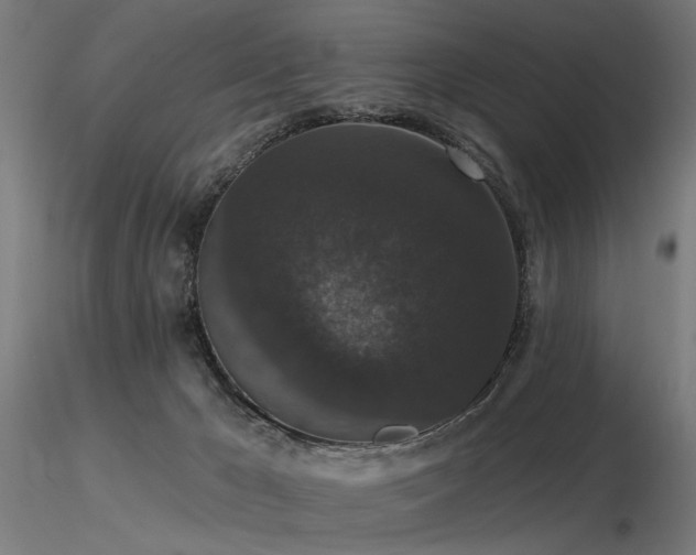 X0000116770029200912171544