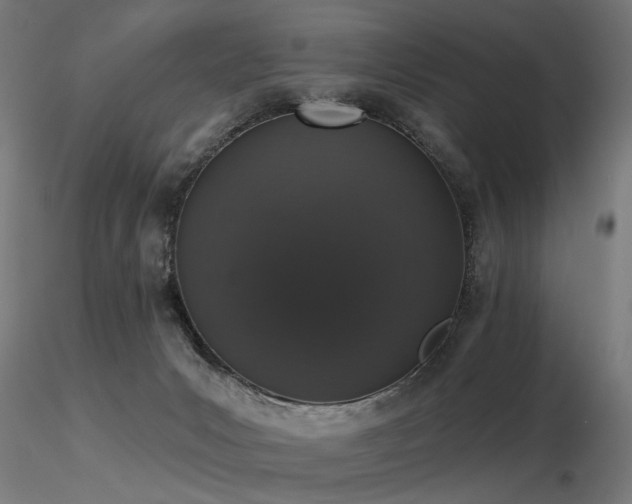 X0000116770031200912171544