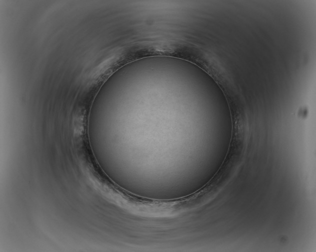 X0000116770032200912171544