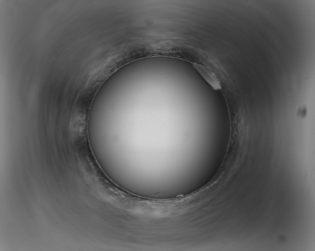 X0000116770033200912171544