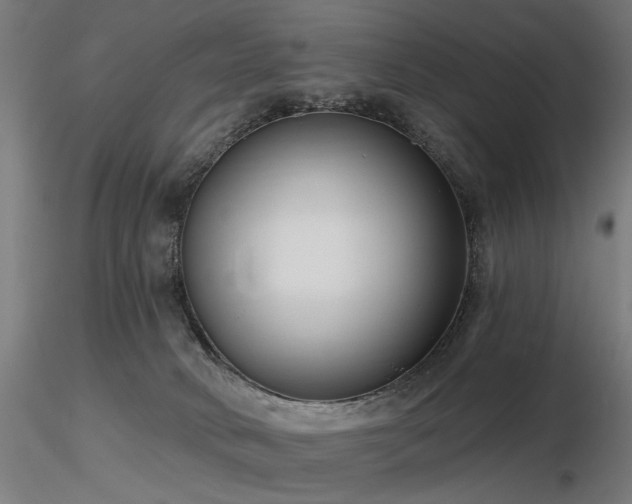 X0000116770034200912171544