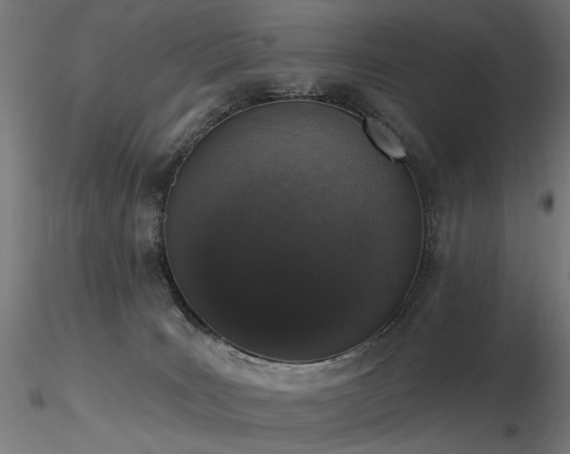 X0000116770035200912171543