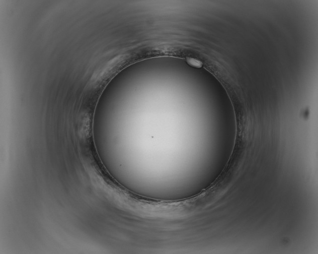 X0000116770036200912171543