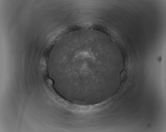 X0000116770037200912171543