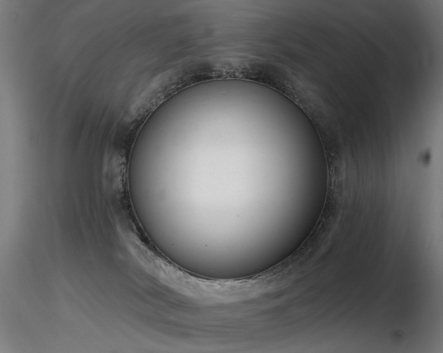 X0000116770038200912171543