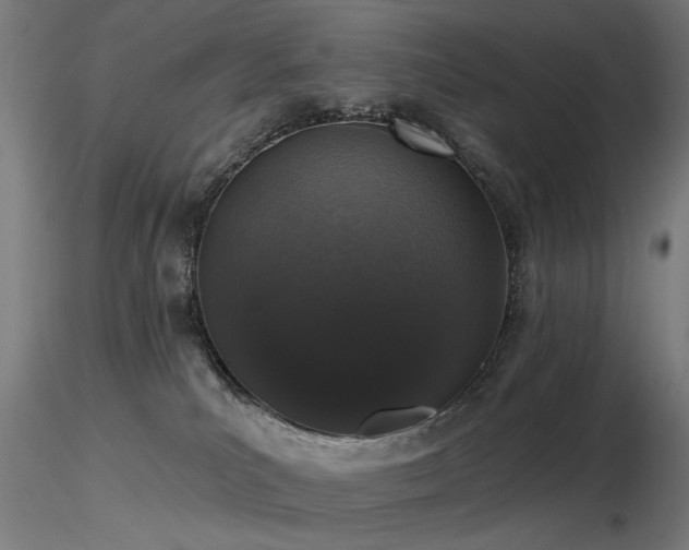 X0000116770039200912171543