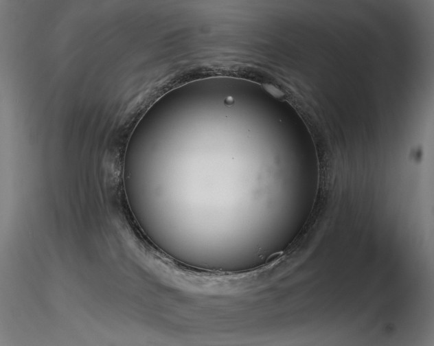 X0000116770040200912171543