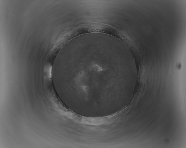 X0000116770041200912171543