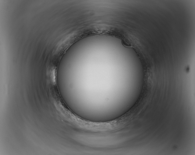 X0000116770042200912171543