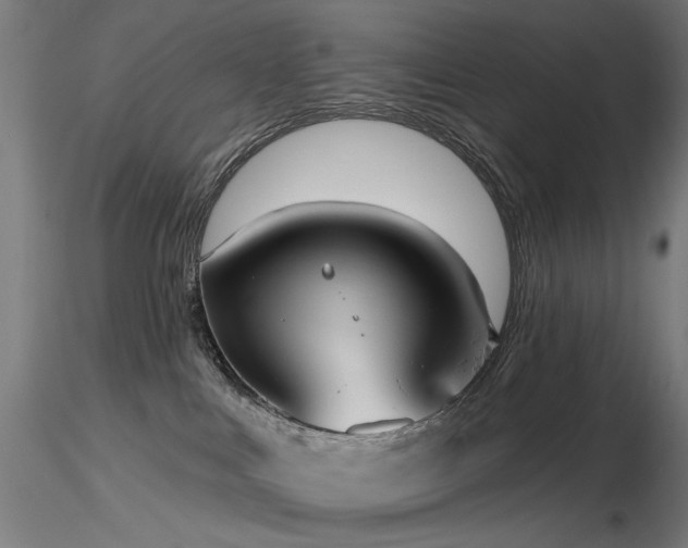 X0000116770043200912171543