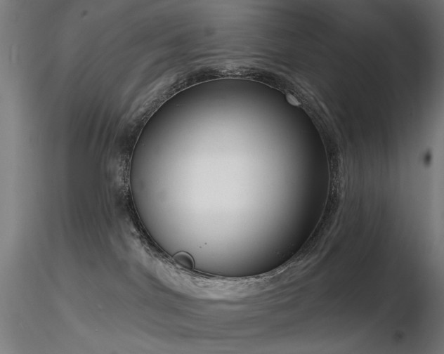 X0000116770044200912171543