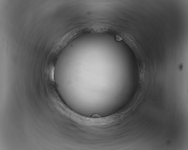 X0000116770046200912171543