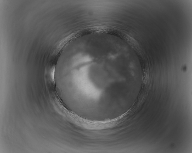X0000116770047200912171543