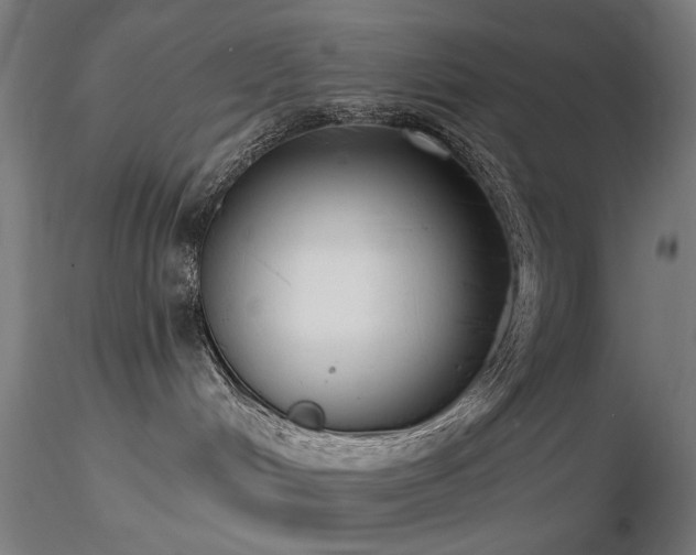 X0000116770048200912171543