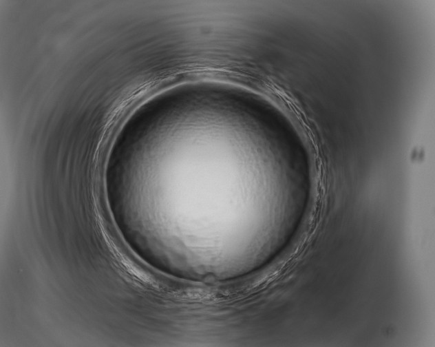 X0000116770049200912171543
