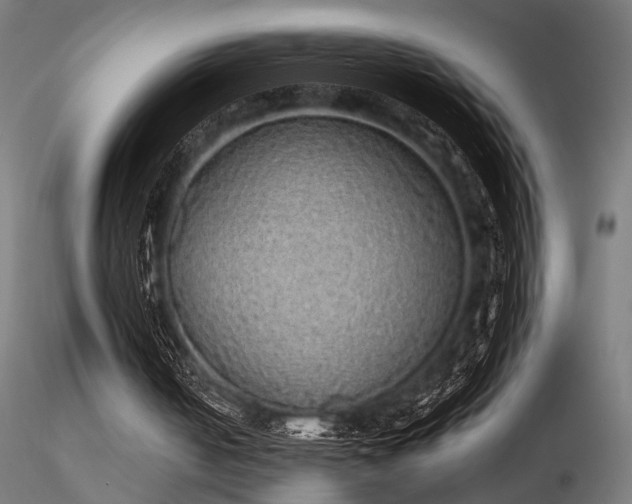 X0000116770050200912171543