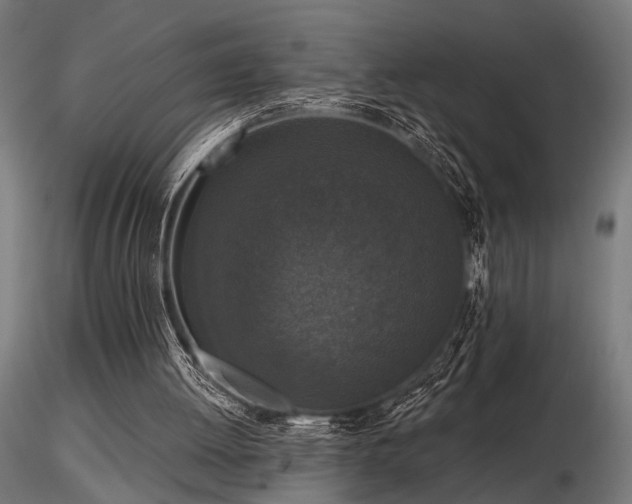 X0000116770052200912171543