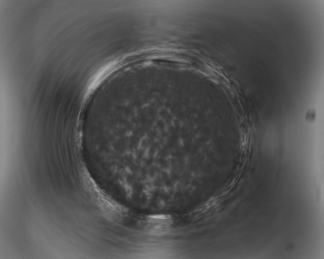 X0000116770053200912171543