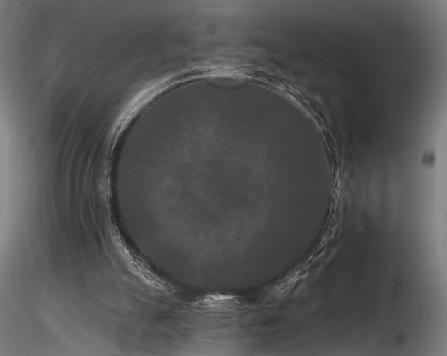 X0000116770055200912171543