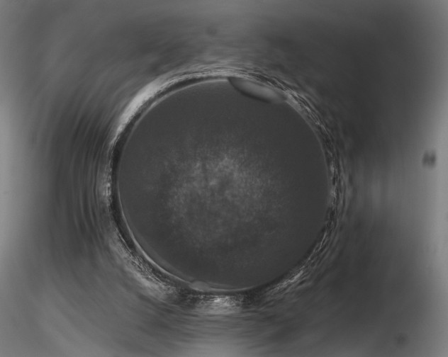 X0000116770056200912171543