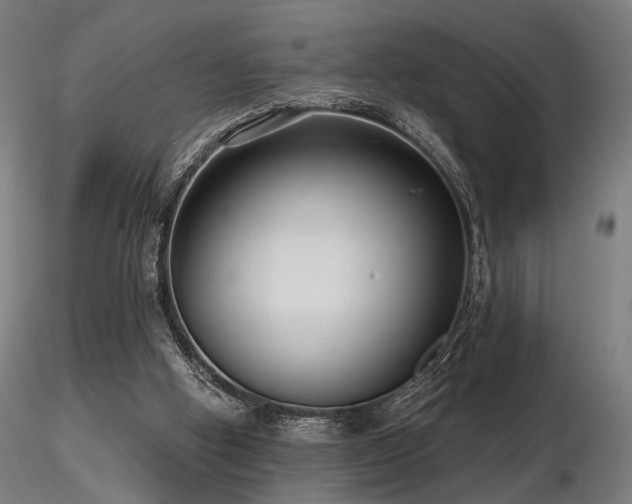 X0000116770058200912171543