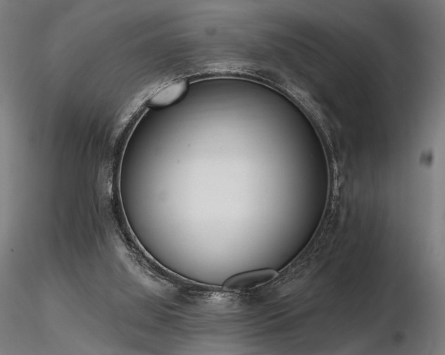 X0000116770060200912171543