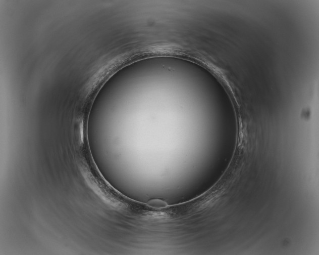 X0000116770061200912171543