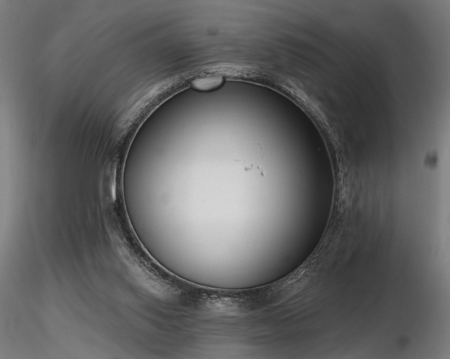 X0000116770062200912171543