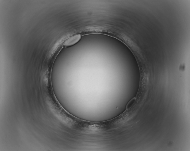 X0000116770064200912171543