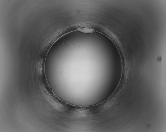 X0000116770065200912171543