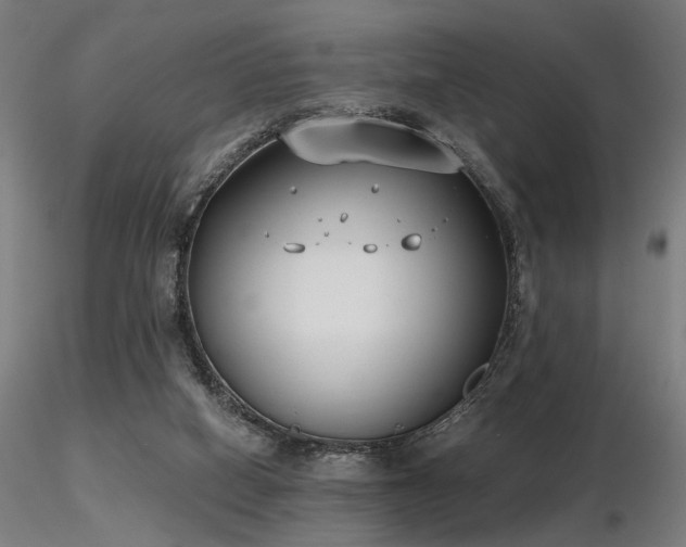 X0000116770066200912171543