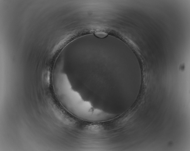 X0000116770067200912171543