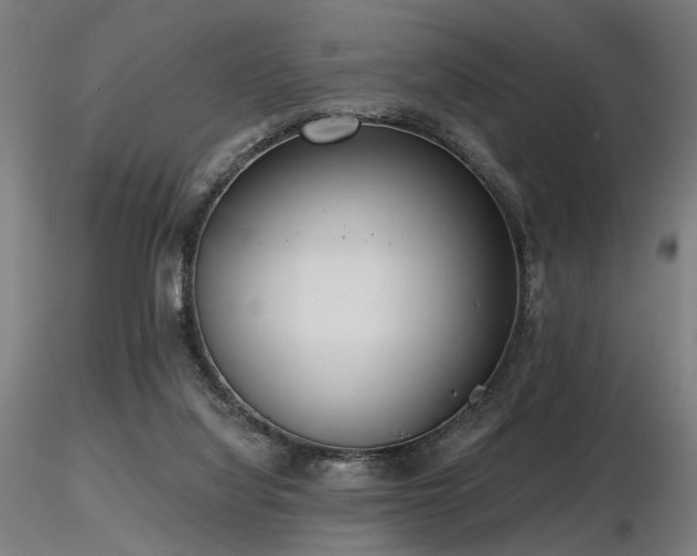 X0000116770068200912171543