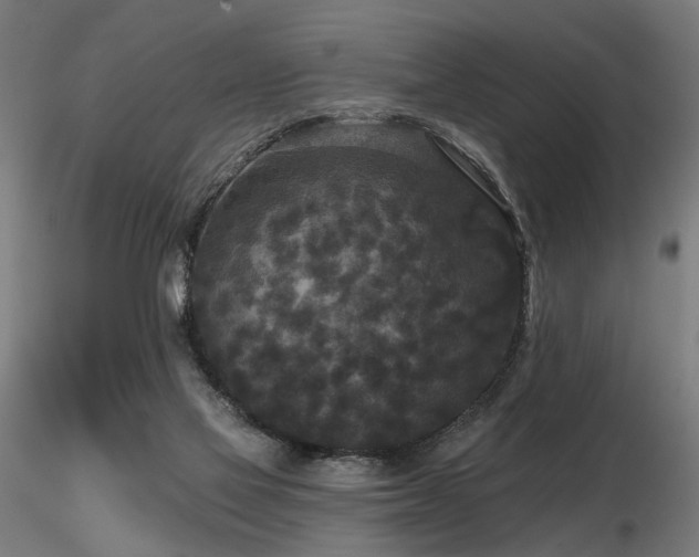 X0000116770069200912171543