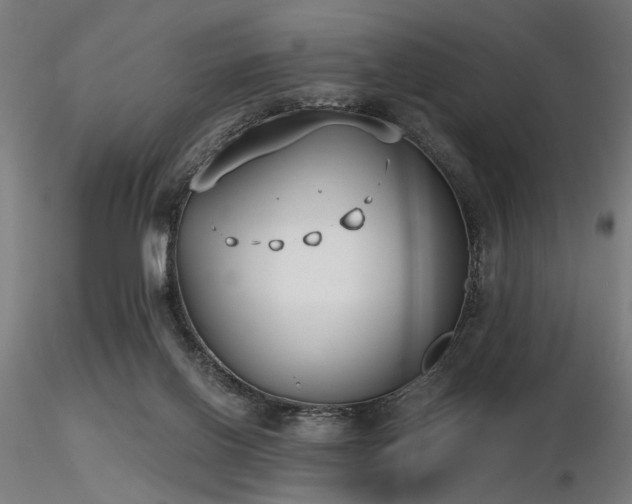 X0000116770070200912171543