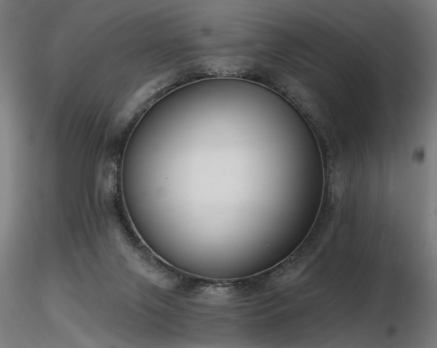 X0000116770071200912171543