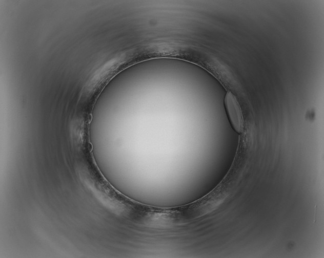 X0000116770072200912171543