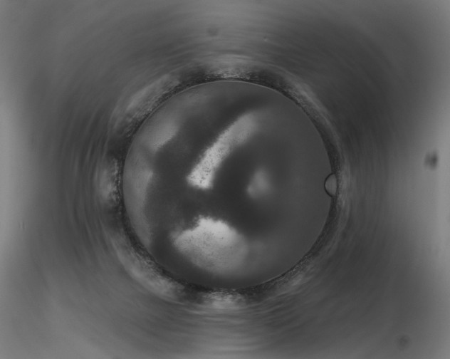 X0000116770073200912171543