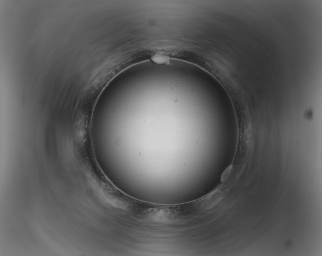 X0000116770074200912171543