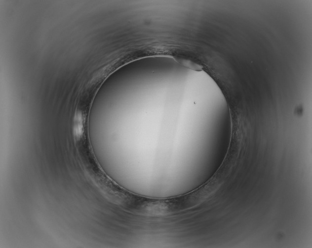 X0000116770075200912171543