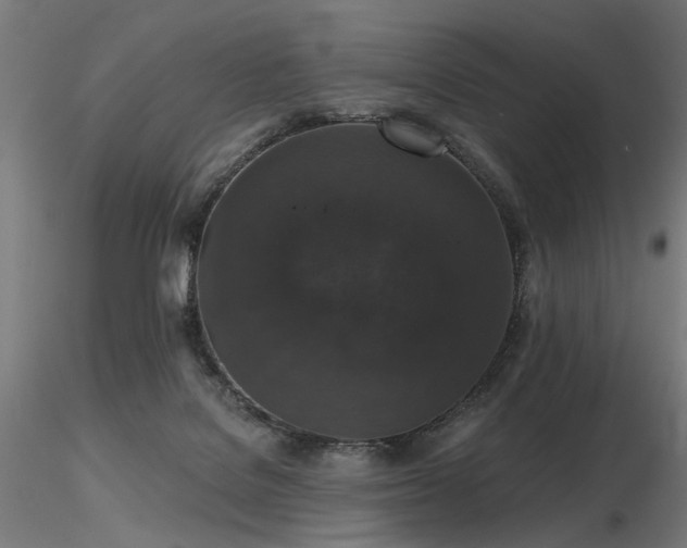 X0000116770076200912171543