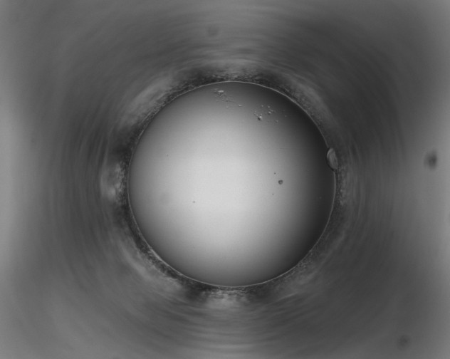 X0000116770077200912171543
