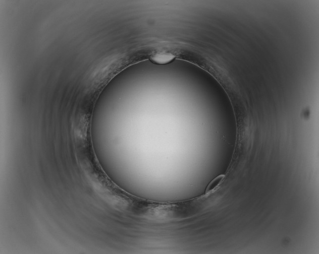 X0000116770078200912171543