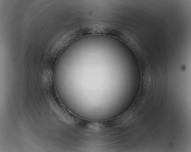 X0000116770079200912171543