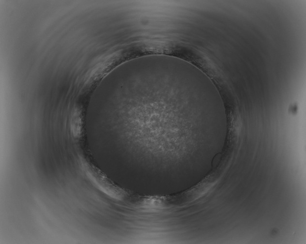X0000116770080200912171543
