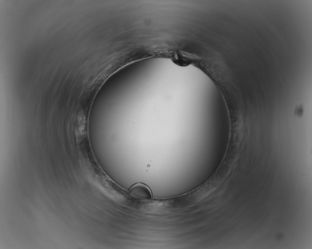 X0000116770081200912171543