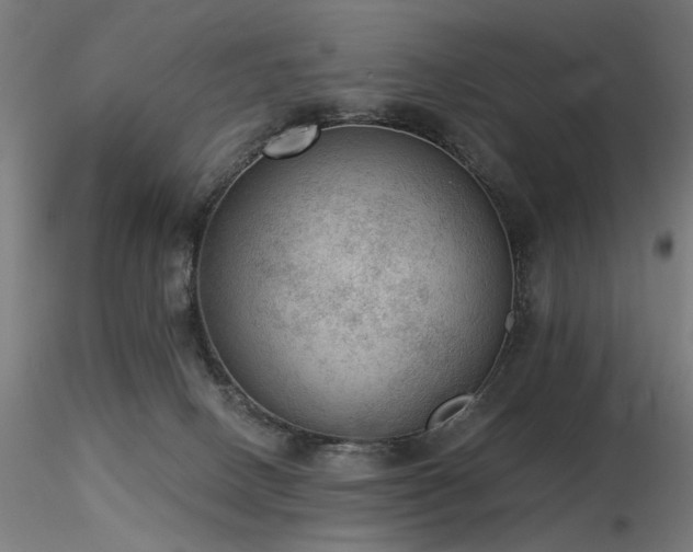 X0000116770082200912171543