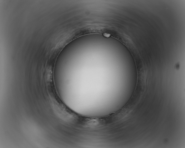 X0000116770083200912171543