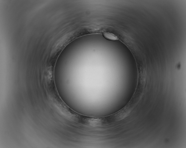 X0000116770085200912171543