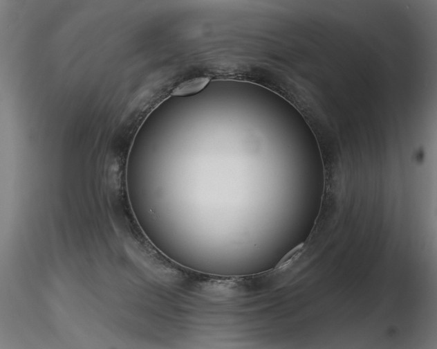X0000116770086200912171543